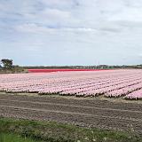 010 Koningsdag